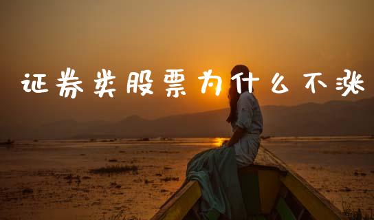 证券类股票为什么不涨_https://m.letulww.com_股指期货交易时间_第1张