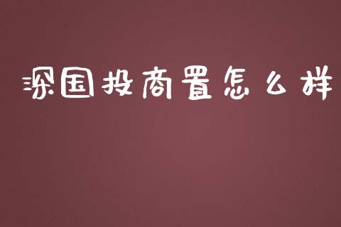 深国投商置怎么样_https://m.letulww.com_期货开户保证金_第1张