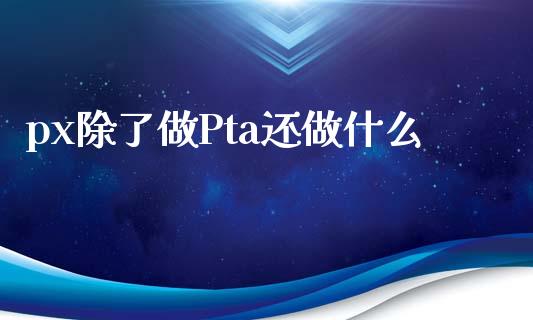 px除了做Pta还做什么_https://m.letulww.com_期货交易软件_第1张