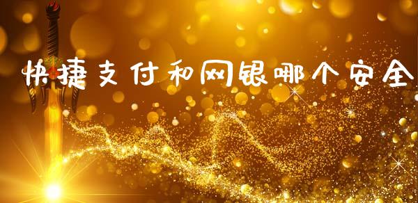 快捷支付和网银哪个安全_https://m.letulww.com_期货交易软件_第1张