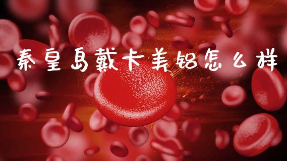 秦皇岛戴卡美铝怎么样_https://m.letulww.com_期货交易策略_第1张
