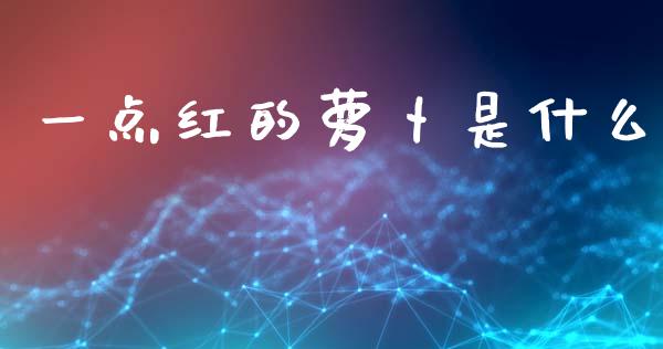 一点红的萝卜是什么_https://m.letulww.com_期货交易策略_第1张