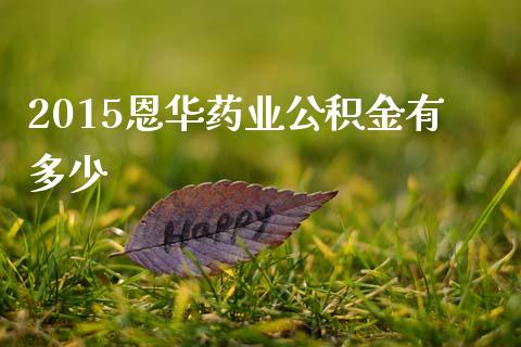 2015恩华药业公积金有多少_https://m.letulww.com_股指期货交易时间_第1张