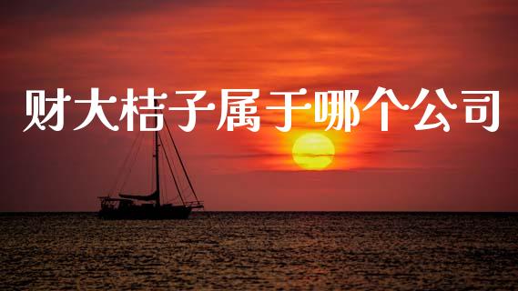 财大桔子属于哪个公司_https://m.letulww.com_期货交易软件_第1张