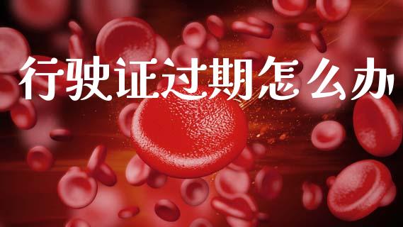行驶证过期怎么办_https://m.letulww.com_期货开户保证金_第1张
