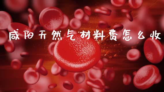 咸阳天然气材料费怎么收_https://m.letulww.com_股指期货交易时间_第1张