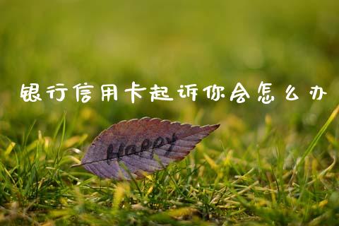银行信用卡起诉你会怎么办_https://m.letulww.com_期货交易策略_第1张