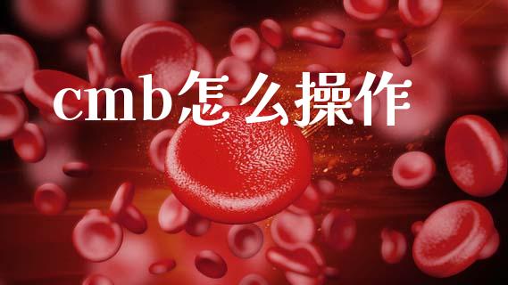 cmb怎么操作_https://m.letulww.com_股指期货交易时间_第1张