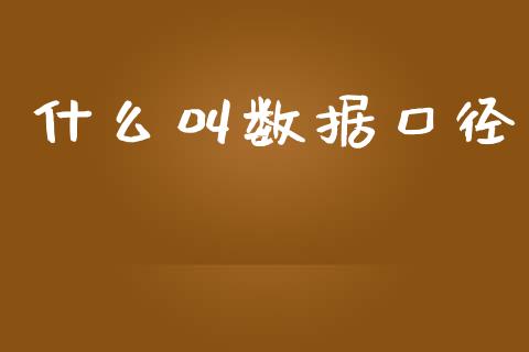什么叫数据口径_https://m.letulww.com_期货开户保证金_第1张