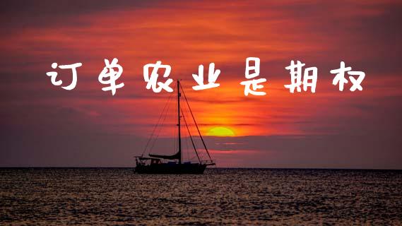 订单农业是期权_https://m.letulww.com_期货开户保证金_第1张