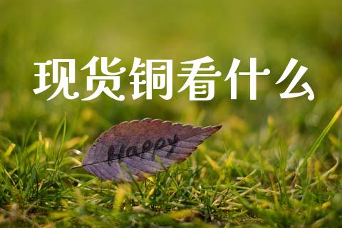 现货铜看什么_https://m.letulww.com_期货开户保证金_第1张