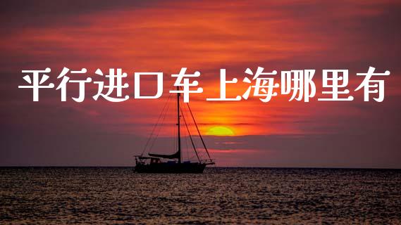 平行进口车上海哪里有_https://m.letulww.com_期货交易策略_第1张