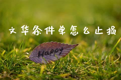 文华条件单怎么止损_https://m.letulww.com_期货交易软件_第1张