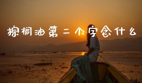 棕榈油第二个字念什么_https://m.letulww.com_期货交易策略_第1张