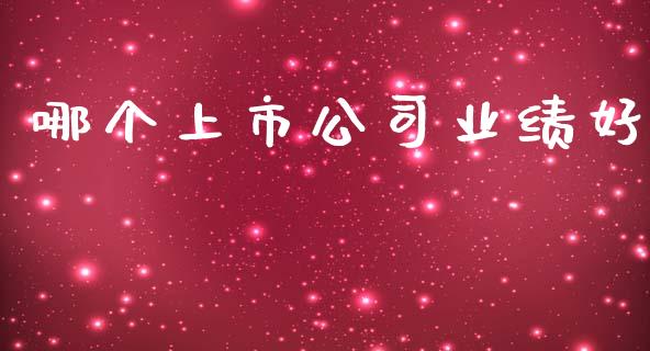 哪个上市公司业绩好_https://m.letulww.com_期货交易策略_第1张