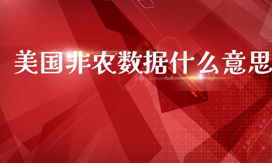 美国非农数据什么意思_https://m.letulww.com_期货交易策略_第1张