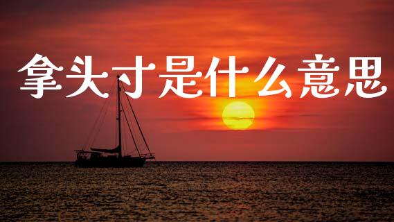 拿头寸是什么意思_https://m.letulww.com_期货开户保证金_第1张