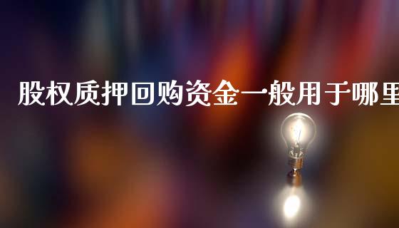 股权质押回购资金一般用于哪里_https://m.letulww.com_期货开户保证金_第1张