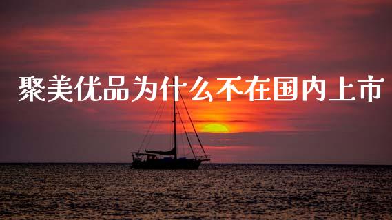 聚美优品为什么不在国内上市_https://m.letulww.com_期货交易软件_第1张