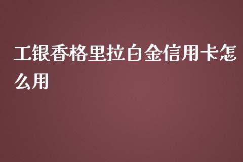 工银香格里拉白金信用卡怎么用_https://m.letulww.com_期货交易策略_第1张