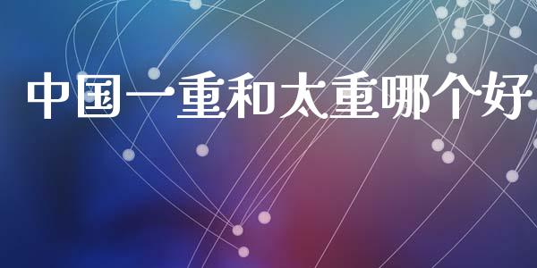 中国一重和太重哪个好_https://m.letulww.com_期货交易策略_第1张