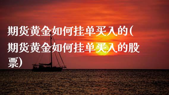 期货黄金如何挂单买入的(期货黄金如何挂单买入的股票)_https://m.letulww.com_期货开户保证金_第1张