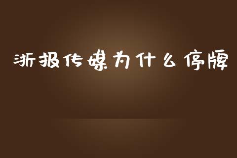 浙报传媒为什么停牌_https://m.letulww.com_期货开户保证金_第1张
