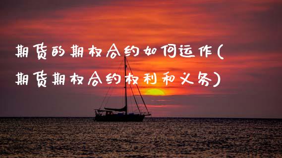 期货的期权合约如何运作(期货期权合约权利和义务)_https://m.letulww.com_期货开户保证金_第1张