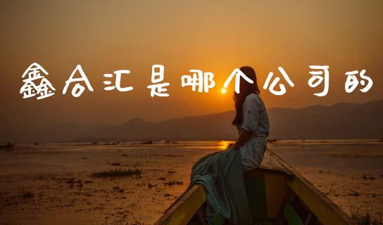 鑫合汇是哪个公司的_https://m.letulww.com_期货开户保证金_第1张