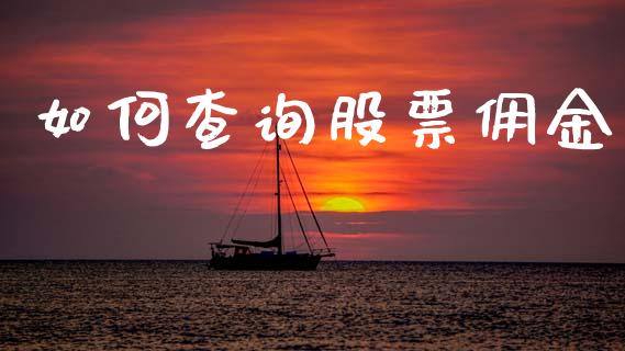 如何查询股票佣金_股指期货交易时间_第1张_期货开户保证金_期货交易软件_股指期货交易时间_期货交易策略 如何查询股票佣金_https://m.letulww.com_股指期货交易时间_第1张