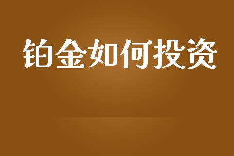 铂金如何投资_https://m.letulww.com_股指期货交易时间_第1张