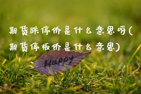 期货跌停价是什么意思呀(期货停板价是什么意思)_https://m.letulww.com_期货交易策略_第1张
