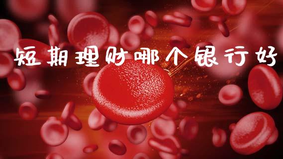 短期理财哪个银行好_https://m.letulww.com_期货交易软件_第1张
