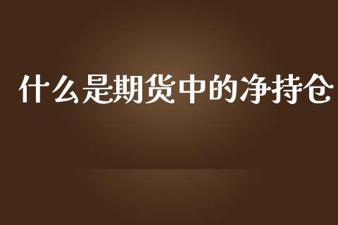 什么是期货中的净持仓_https://m.letulww.com_期货交易软件_第1张
