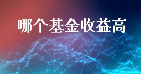 哪个基金收益高_https://m.letulww.com_期货交易软件_第1张
