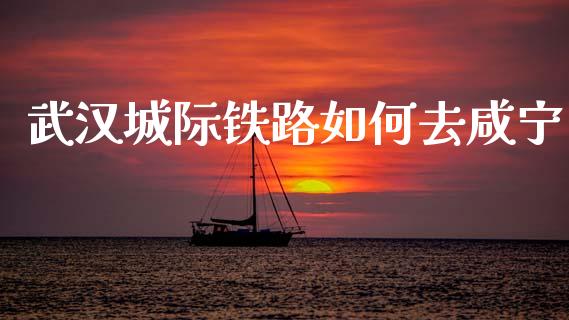 武汉城际铁路如何去咸宁_https://m.letulww.com_期货开户保证金_第1张