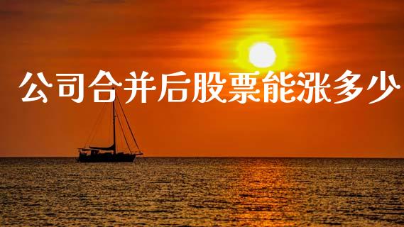 公司合并后股票能涨多少_https://m.letulww.com_期货交易软件_第1张
