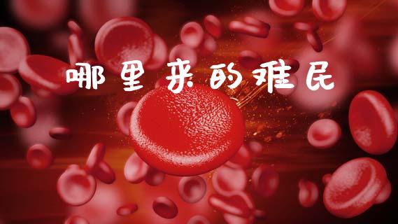哪里来的难民_https://m.letulww.com_期货交易策略_第1张