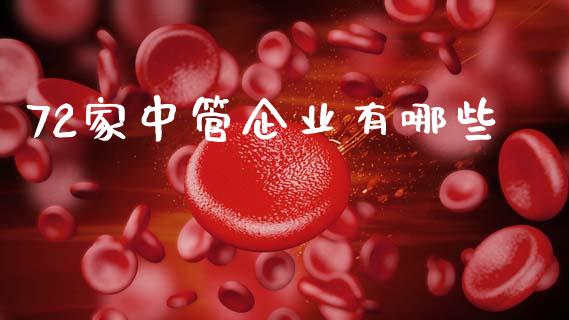 72家中管企业有哪些_https://m.letulww.com_股指期货交易时间_第1张