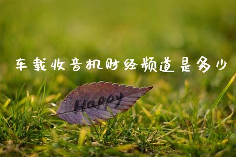 车载收音机财经频道是多少_https://m.letulww.com_期货交易软件_第1张