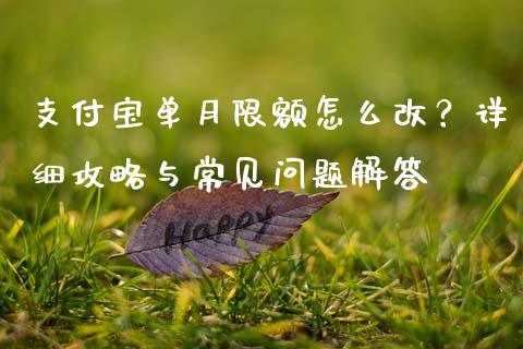 支付宝单月限额怎么改？详细攻略与常见问题解答_https://m.letulww.com_期货交易策略_第1张
