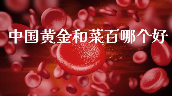 中国黄金和菜百哪个好_https://m.letulww.com_股指期货交易时间_第1张
