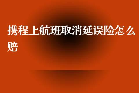 携程上航班取消延误险怎么赔_https://m.letulww.com_期货交易软件_第1张