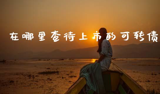 在哪里查待上市的可转债_https://m.letulww.com_期货交易软件_第1张