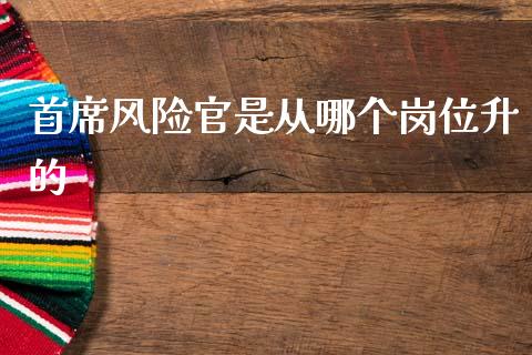 首席风险官是从哪个岗位升的_https://m.letulww.com_股指期货交易时间_第1张