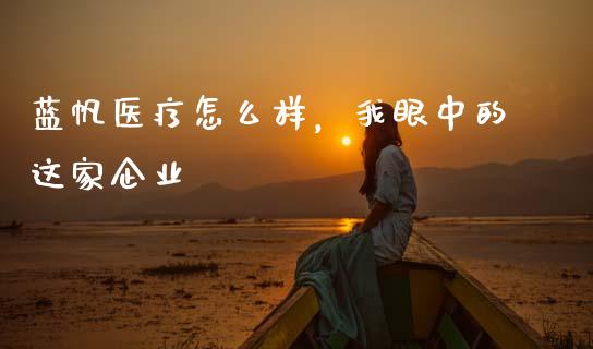 蓝帆医疗怎么样，我眼中的这家企业_https://m.letulww.com_期货交易策略_第1张