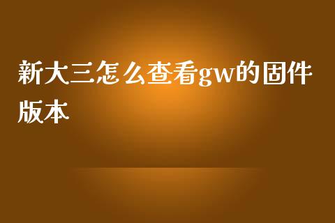 新大三怎么查看gw的固件版本_https://m.letulww.com_期货交易软件_第1张