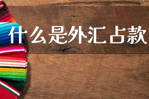 什么是外汇占款_https://m.letulww.com_股指期货交易时间_第1张
