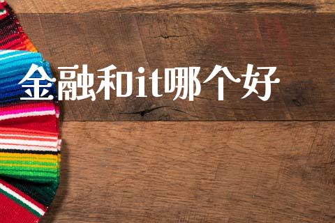 金融和it哪个好_https://m.letulww.com_期货开户保证金_第1张