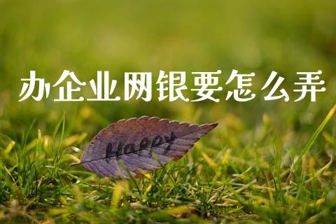 办企业网银要怎么弄_https://m.letulww.com_期货开户保证金_第1张